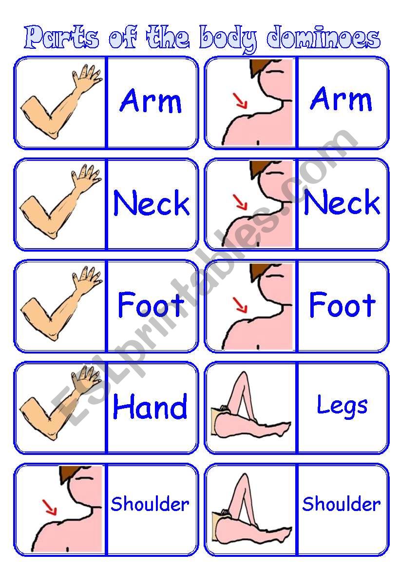 Parts of the body - dominoes [28 cards X 7 words] ((3 pages)) - instructions included